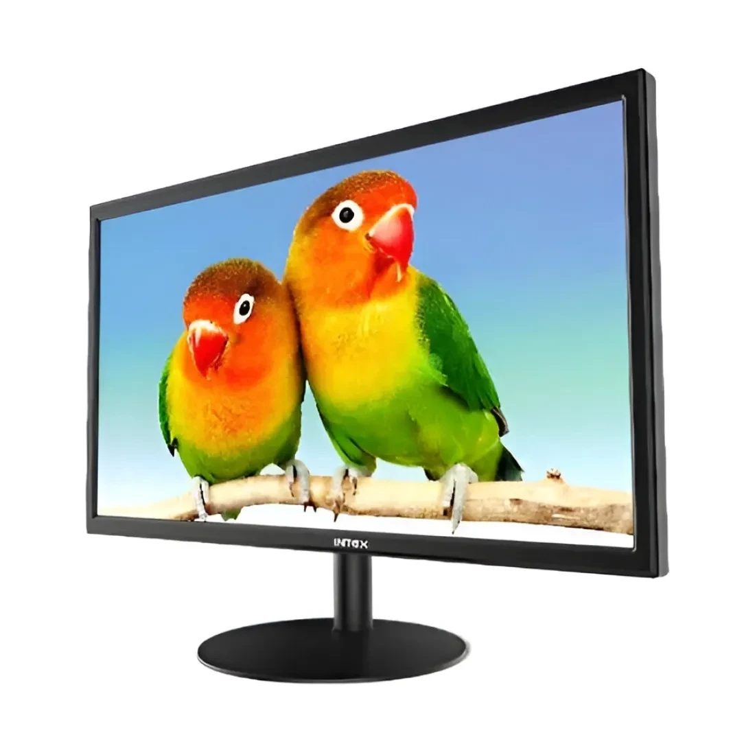 Intex LED Monitor 20 Inch IT2202 HDMI | VGA